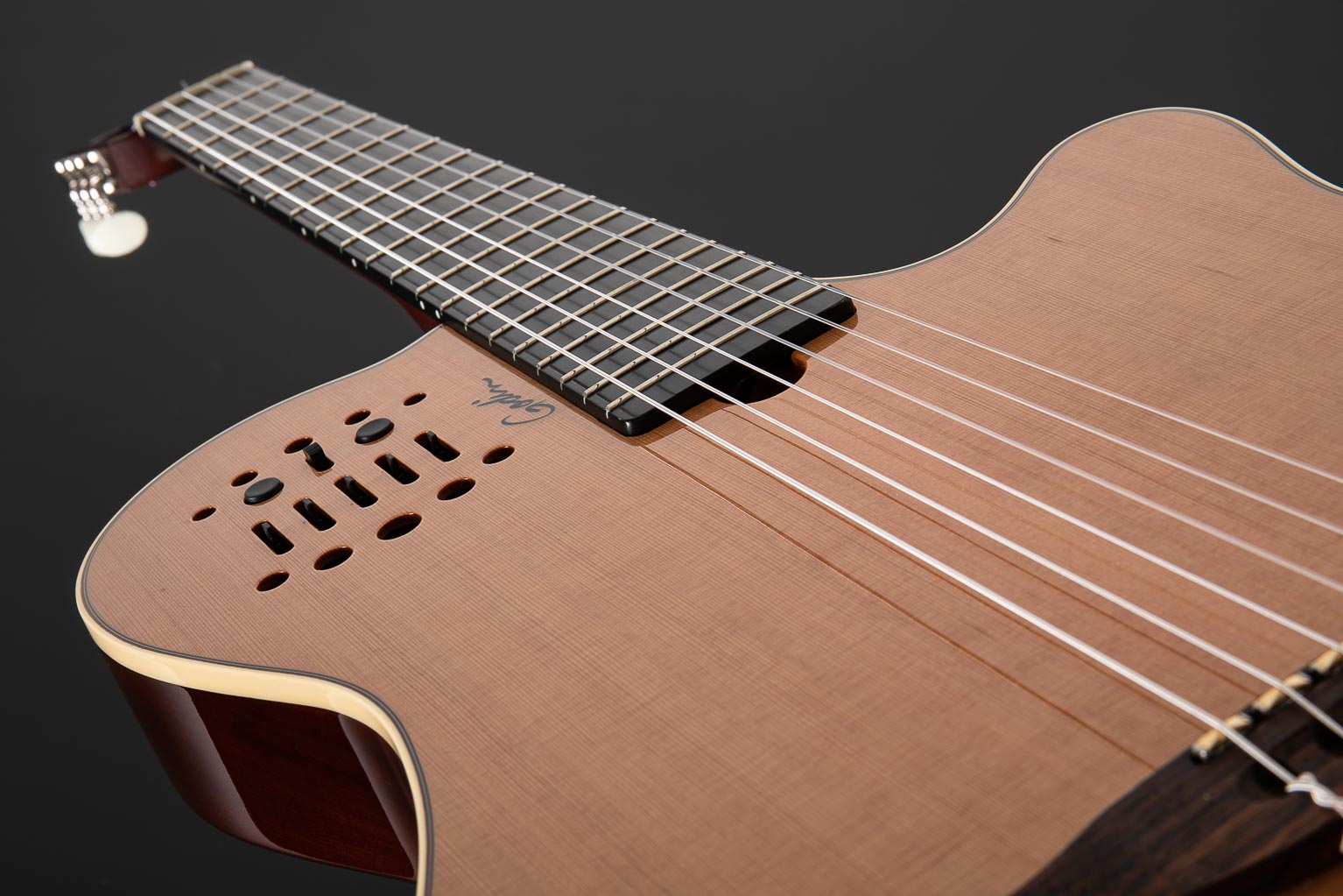 godin multiac unplugged